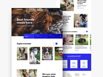 GoodDog - Website Exploration animal breeder breeds clean creative dog dogs landing landing page layout minimal pet finder pets puppy typogaphy ui ui design web design webdesign website