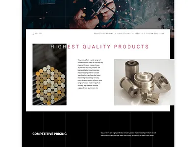 Tarunsika Corporate Website adobe behance design dribbble graphicdesign graphicdesigner illustrator logo ui ux