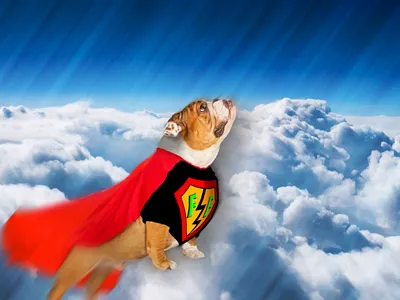 Photomontage photomontage photoshop
