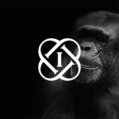 IJ Wildlife Photography Monogram animal animal logo elegant logo ij ij logo j logo luxury mature logo monogram monogram logo nature logo photographer logo photography photography logo wildlife wildlife logo