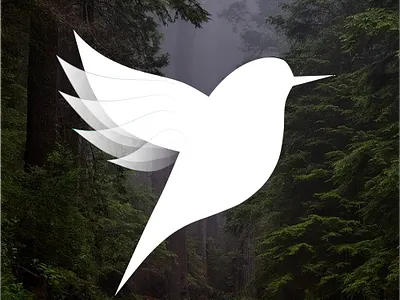 Spread Your Wings design logo ux vector