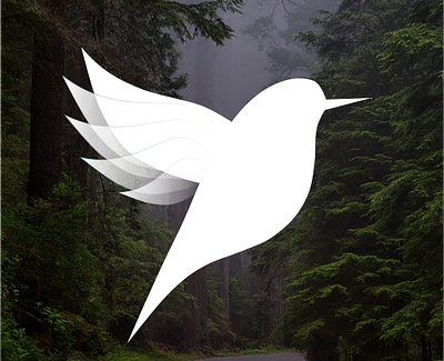 Spread Your Wings design logo ux vector