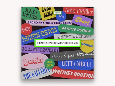 SHRIMPS IN SPACE TOTAL EXPERIENCE RADIO 001 design dj flyer figma flat design typographic typography vintage font visual design