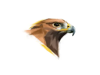 Golden eagle bird bird illustration bird of prey brush eagle illustration mexico nature photoshop