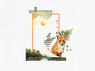 Little Fox Design Studio Moodboard brand identity branding branding design collage collageart designlife ecofriendly environment moodboard photoshop retro