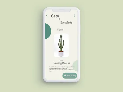 Cactus adobexd mobile app ui ux uidesign