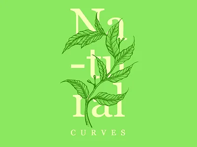Natural Curves composition curves graphic design illustration illustration art illustration design illustration digital natural plants sketch
