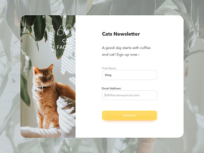 Newsletter Sign Up Form cat cute design form grid lead magnet modal yellow