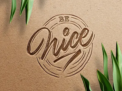 Be Nice calligraphy details lettering procreate textures