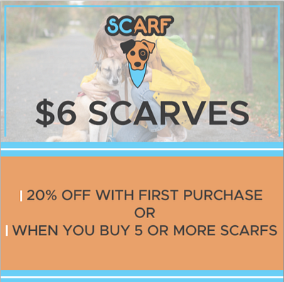 SCARF AD buisness design logo marketing