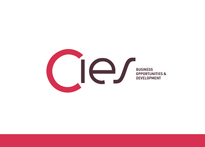 CIES brand brand design branding branding design design icon logo