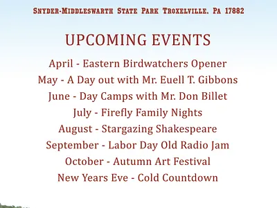 Tall Timbers Ampitheatre advertising branding business design events graphic logo sign