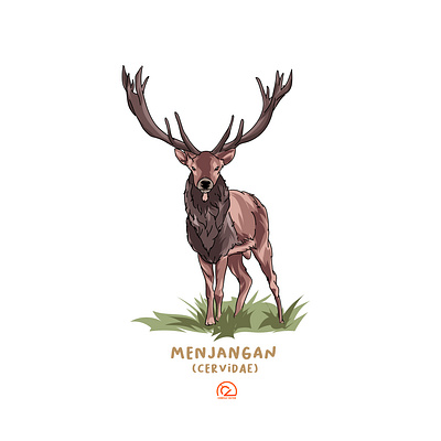 Deer Menjangan animal animal art animal illustration deer design illustration illustrator indonesia minimal vector