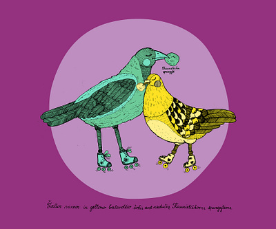 Birds illustration birds hand drawn handwriting illustration illustration art photoshop scan