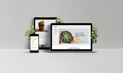 8H Studio design ecommerce mobile ui photography plant plants quiz ui ux web web design