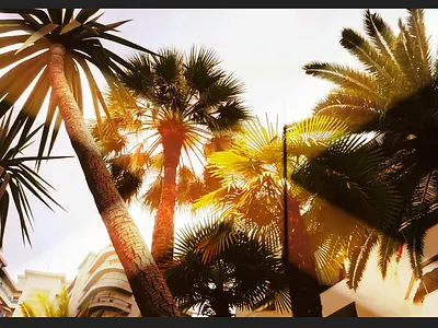 Monte Carlo 2016 art direction