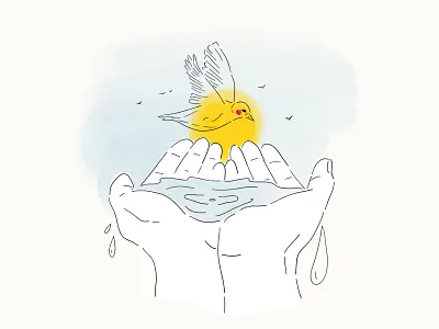 Birds at Sunset adventure bird birds drawing style earth experience freedom hand drawn hands illustration ipad pro minimal nature outdoor procreate sky sun sunset sustainability water