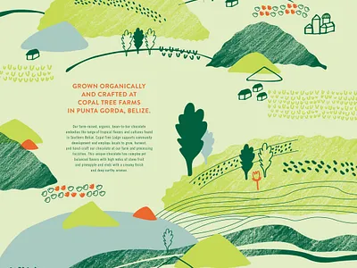 Copal Tree chocolate packaging illustration art branding chocolate design food illustration illustrator vector