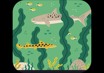 Sharks bermuda diving fish illustration procreate reef sea shark under water