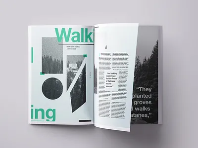 Walking / Editorial 2d editorial layout indesign layout nature pnw shapes walk walking