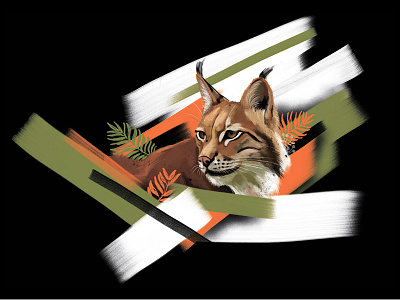 Lynx illustration animal booklet branding design drawing graphic design idea illustration polygraphy zoo