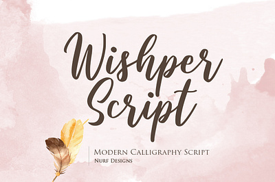 Wishper Script | Modern Calligraphy Typeface branding calligraphy font font design lettering logo logotype script script font typography