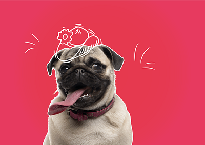 Draw on photo- Love Koko art curated design dogs doodle doodleart drawing illustration photos puppy