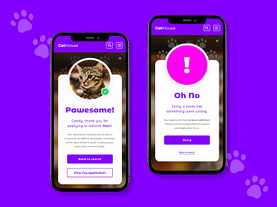 Daily UI 011 // Flash Messages cat cat website daily ui daily ui 011 daily ui 11 daily ui flash messages dailyui failure flash messages notification success thank you page ui ux ux design web design website