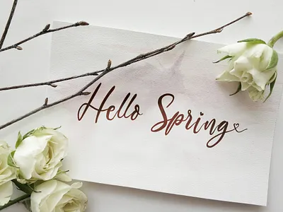 The Austin - Handwritten Script Font calligraphy casual classy elegant feminime handdrawn handlettering handwritten ligature logotype luxury modern signature stylish whimsical