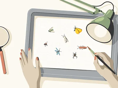 Insects 3 illustration insects ipad pro ipadpro procreate