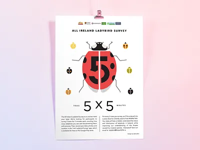 All-Ireland Ladybird Survey citizen science ladybird ladybug poster survey