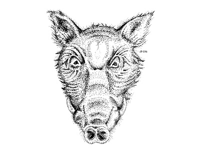 Wild Boar animal artist blackwork boar dotwork fine art game animal hand drawn illustration illustration art illustrator ink on paper mammal nature art pig stipple wild wild animal wilderness wildlife