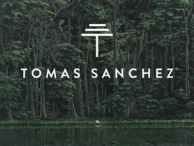 Tomás Sánchez art artist branding design identity logo personal branding