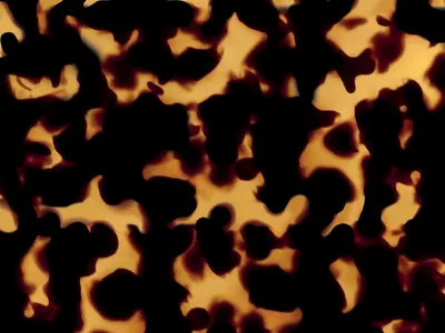 Tortoiseshell (Original) Surface Pattern Design 300X210MM graphic design pattern pattern design photoshop repeat repeat pattern repeating pattern surface pattern surface pattern design tortoise shell tortoiseshell