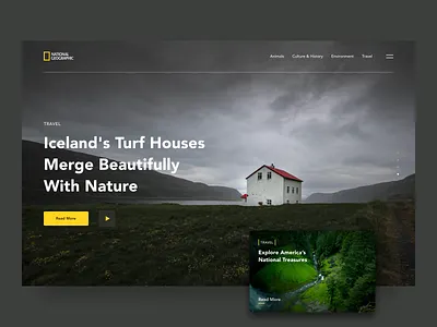 National Geographic Website Redesign animal design figma national geographic nature redesign simple travel typography ui ux web webdesign website wild wildlife