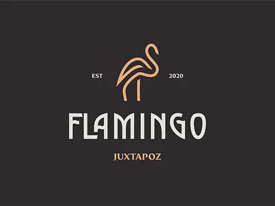flamingo logo branding design clean culture design flamingo flamingos lettermark logo logo design logodesign logomark typography vector