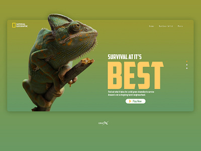 NatGeo website's Minimal Makeover adobephotoshop mobile ui webdesign