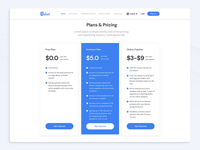 Pricing Options design minimal payment plans pricing ui web webdesign