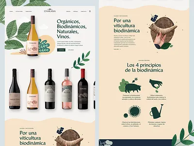 Organic Wine web design - Chakana branding clean desktop green illustration minimal organic ui vineyard web web design wine wine bottle yellow