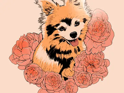 Memorial Pet Portait Illustration artwork botanical digital illustration digital painting digitalart digitalpainting drawing illustration painting peonies pet portrait pomeranian portrait art portrait illustration