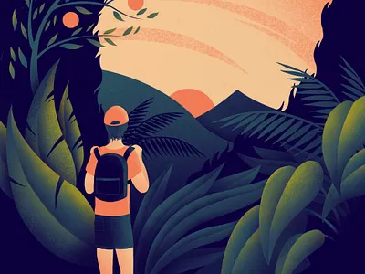 Backpacker's Sunrise backpacker colour illustration illustrator jungle plants procreate sunrise travel tropical tropical leaves