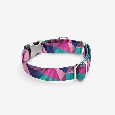 Geometric Collar design geometic illustration product design