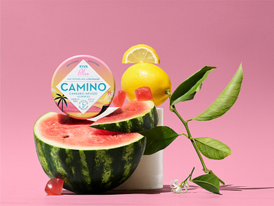 Camino Tins Flavorz branding camino cannabis cannabis packaging illustration kiva packaging san francisco stout typography