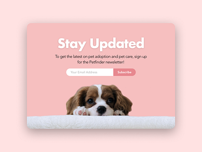 Daily UI 026—Subscribe daily daily 026 daily ui daily ui 026 dailyui dailyuichallenge design figma interface pet adoption subscribe ui ui design web web design