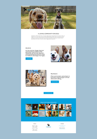 Chasin' Pets Website Design brand identity branding chasin pets brand logo design logo design branding pet website squarespace squarespace website ui web design web layout webdesign website concept website design website layout websites