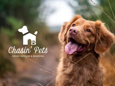 Chasin' Pets Doggy Daycare Branding brand identity brand identity design brand identity designer branding design logo logo design logo design branding logo design concept logo mockup