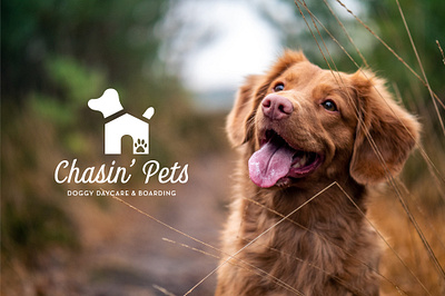 Chasin' Pets Doggy Daycare Branding brand identity brand identity design brand identity designer branding design logo logo design logo design branding logo design concept logo mockup