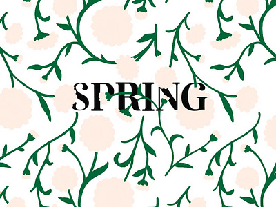 SPRING daisy floral pattern flowers illustration illustration spring