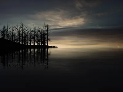 Diorama 08 art direction branding concept art concept visual creative direction design digital illustration graphic art illustration print