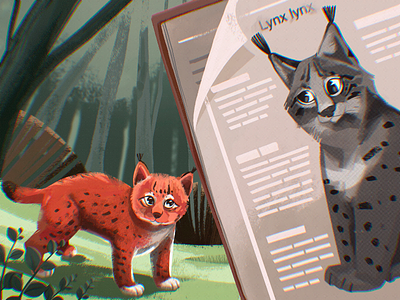 Red Book Animals: Lynx animals art cat creative illustration design design studio digital art digital illustration ecology environment fauna graphic design illustration illustrator lynx nature procreate red book wild animals wildlife